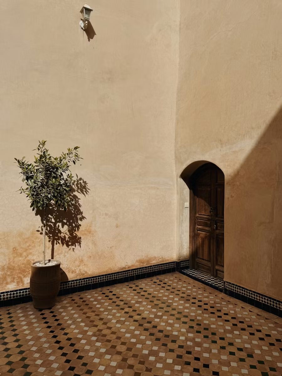 Oranger en pot dans une cour marocaine aux murs ocre et au sol de zellige