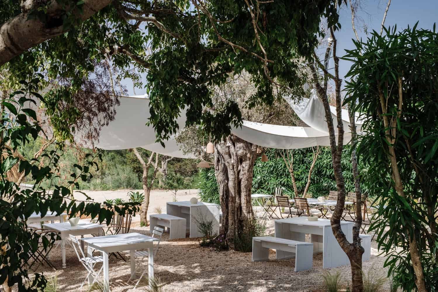Can Domo · Ibiza, le jardin sous les arbres · Photographie fournie